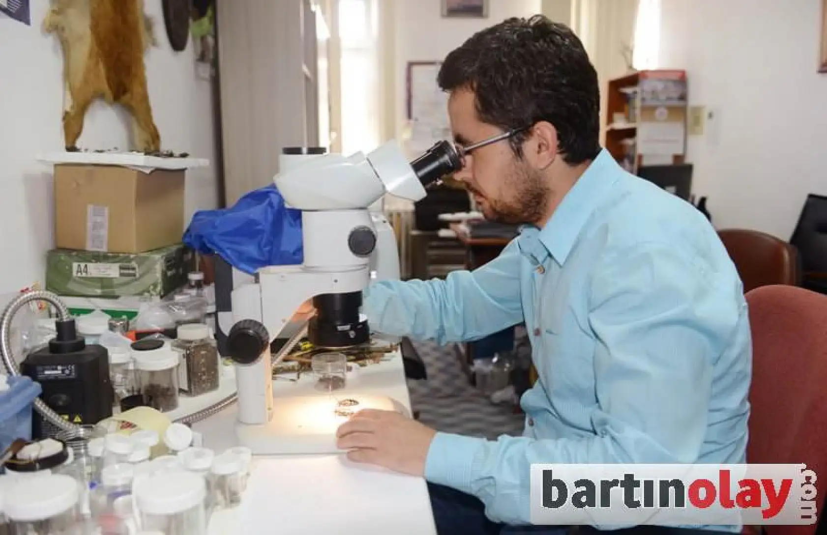 Canavar böcek Bartın'da 