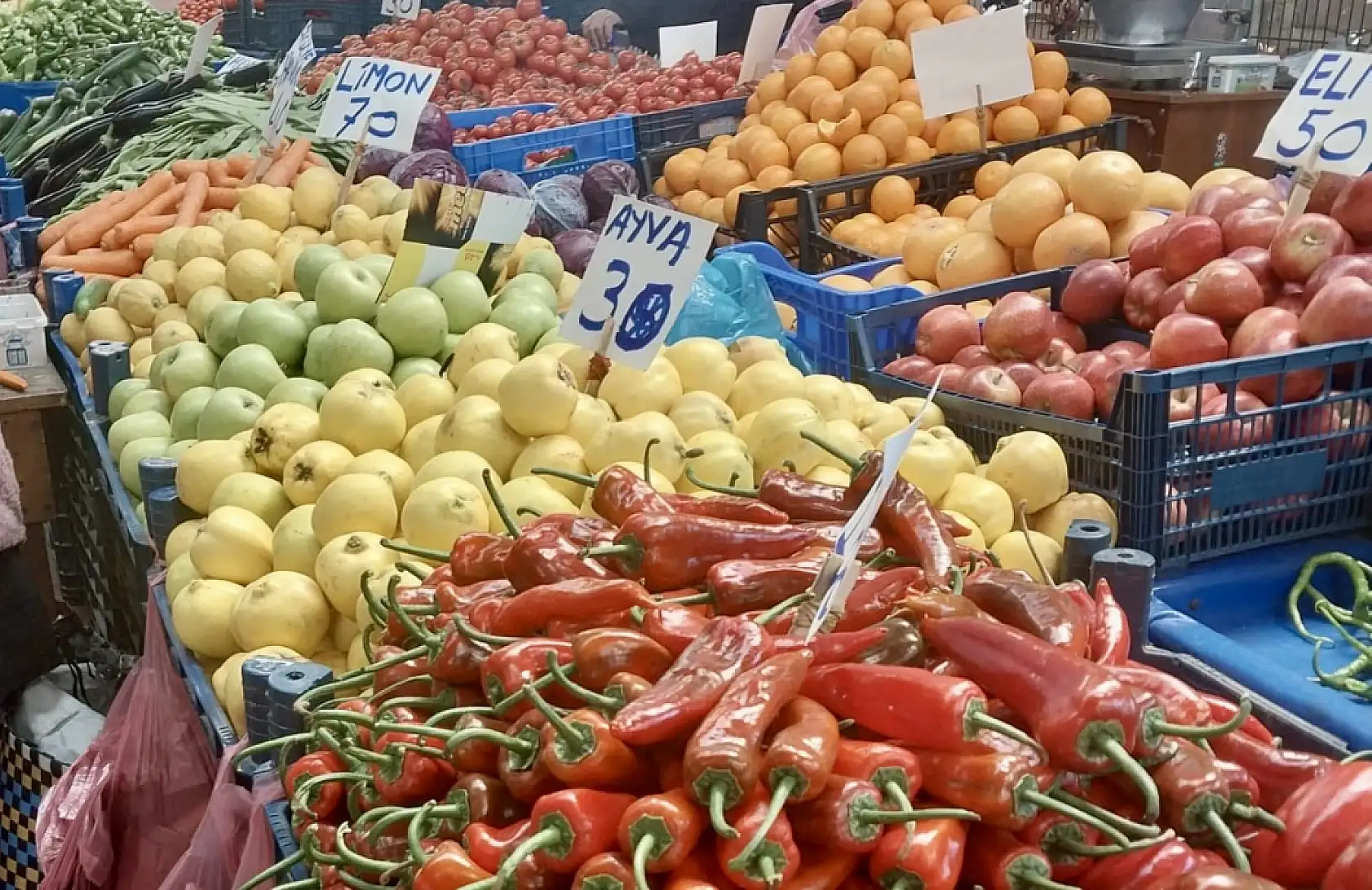 Balıkta sezon finali