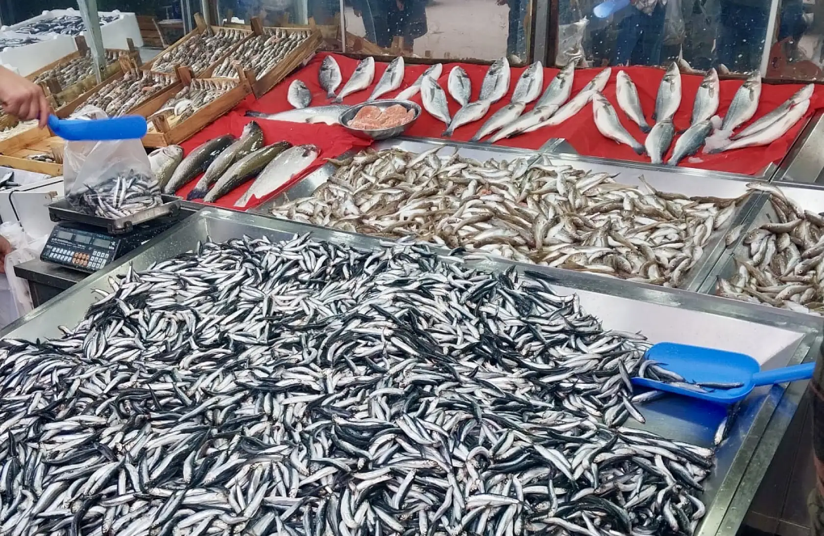 Fiyatlar vatandaşın yüzünü güldürdü