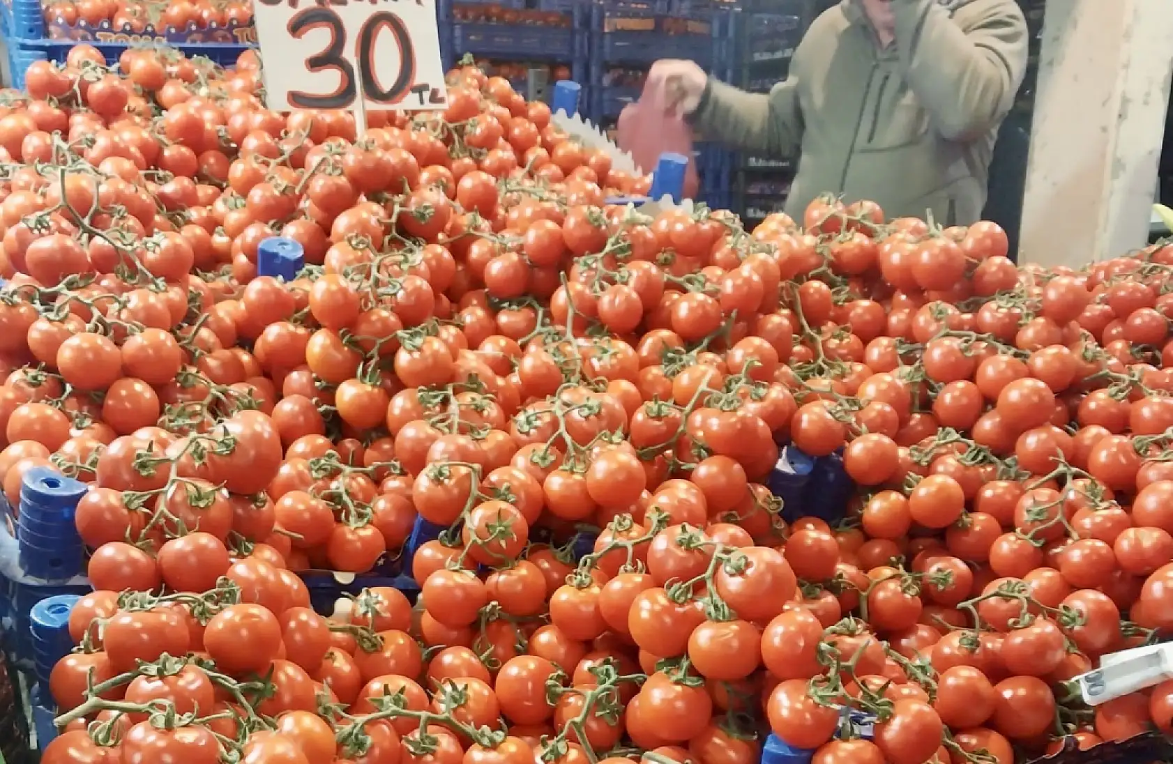 Balıksız kalmıyoruz