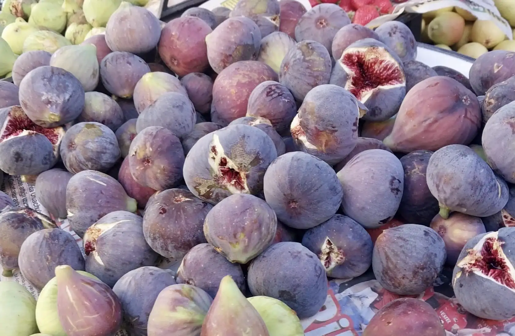 Hünnap sezonu açıldı