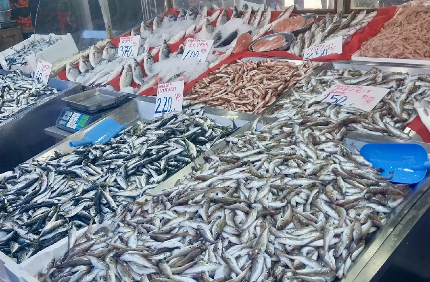 Balıkta sezon finali