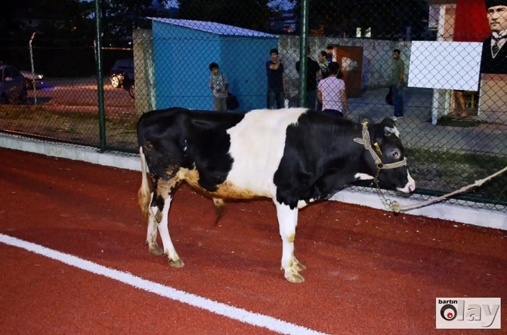 Dana ödüllü turnuvadan görüntüler