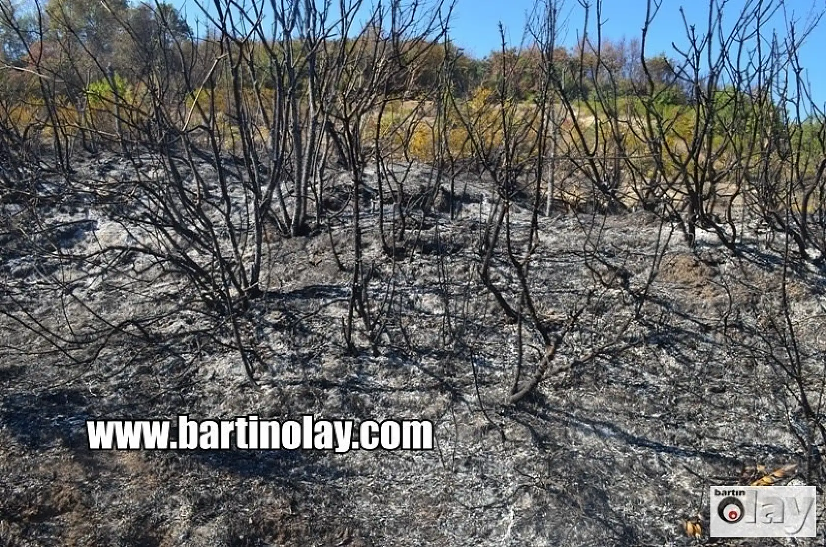 Bartın'da Orman Yangınından en sıcak görüntüler