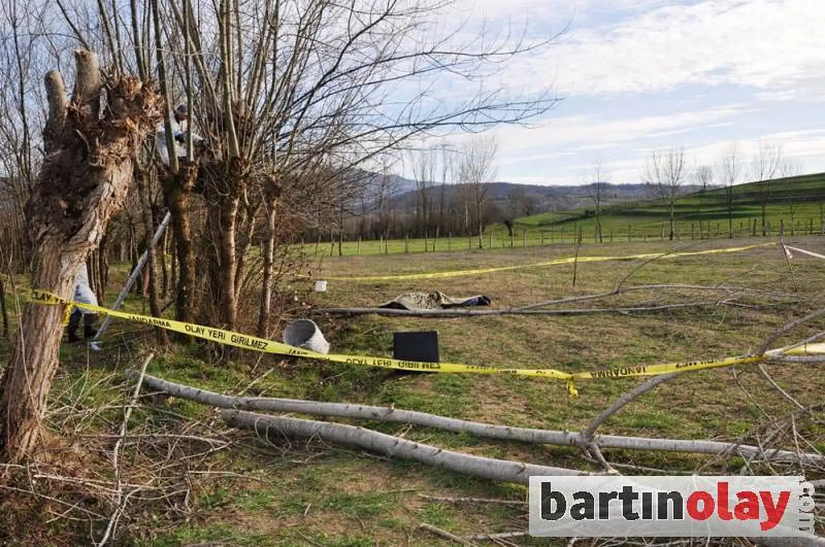 Ağaç budarken düşerek öldü