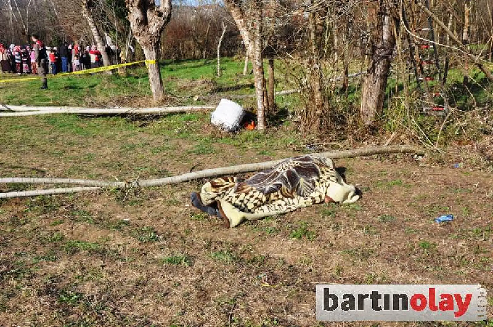 Ağaç budarken düşerek öldü