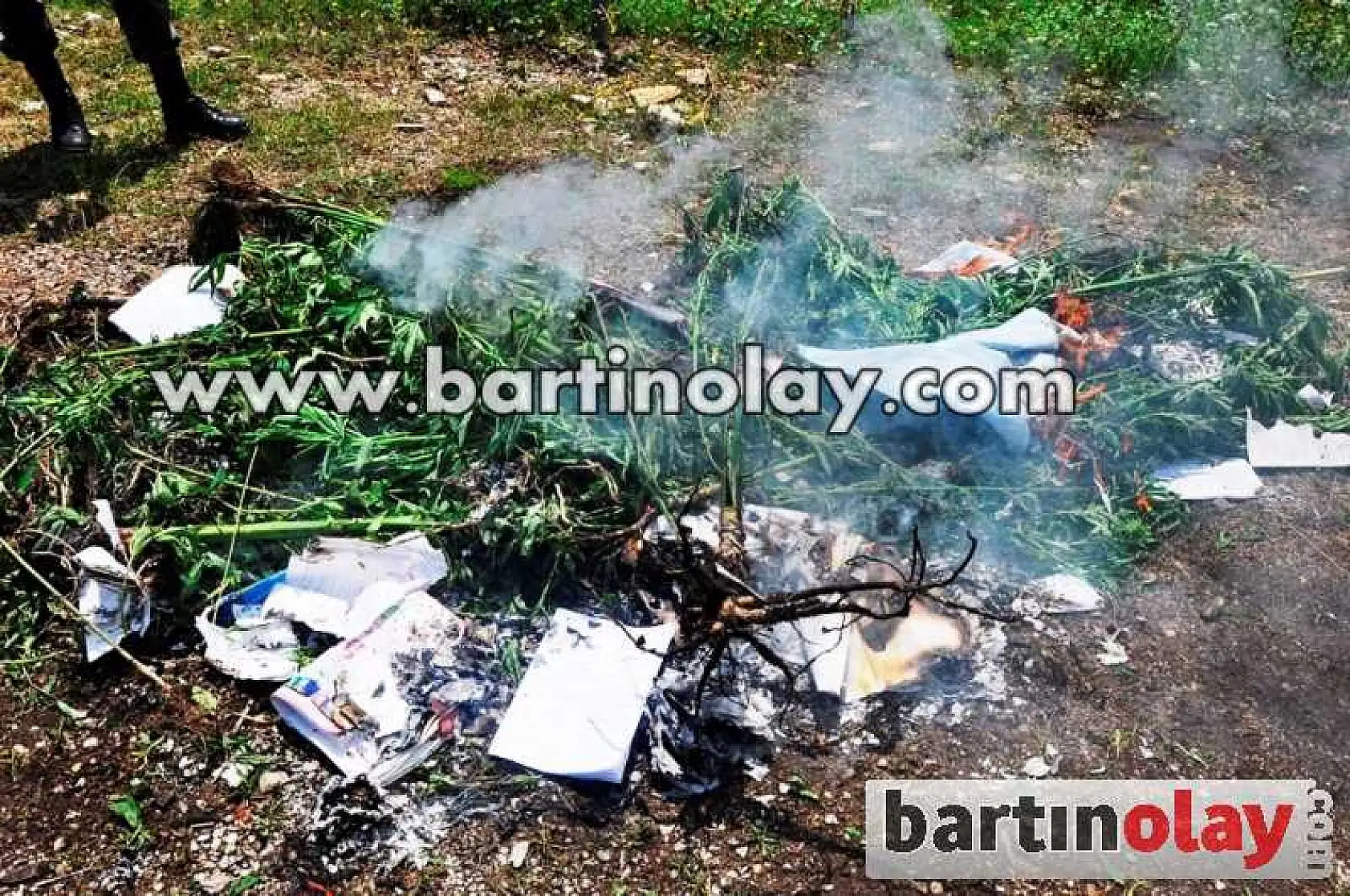 KOZCAĞIZ'DA KENEVİR OPERASYONU