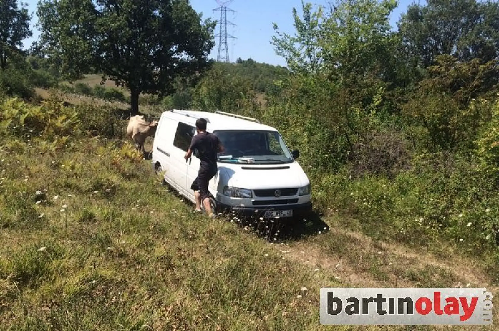 Minibüsle hayvan hırsızlığı yapanlar aranıyor