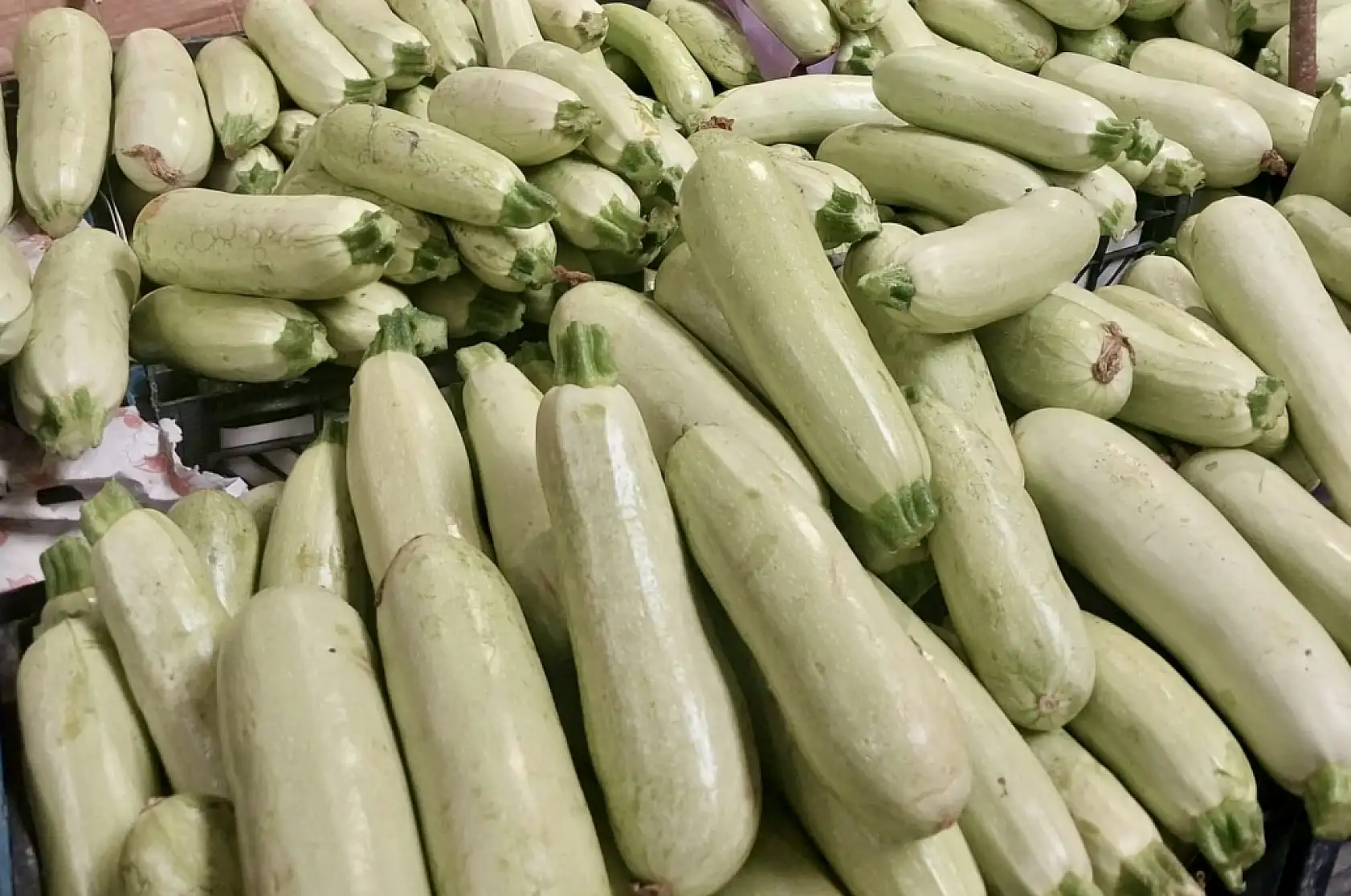 Fiyatlar ateş pahası