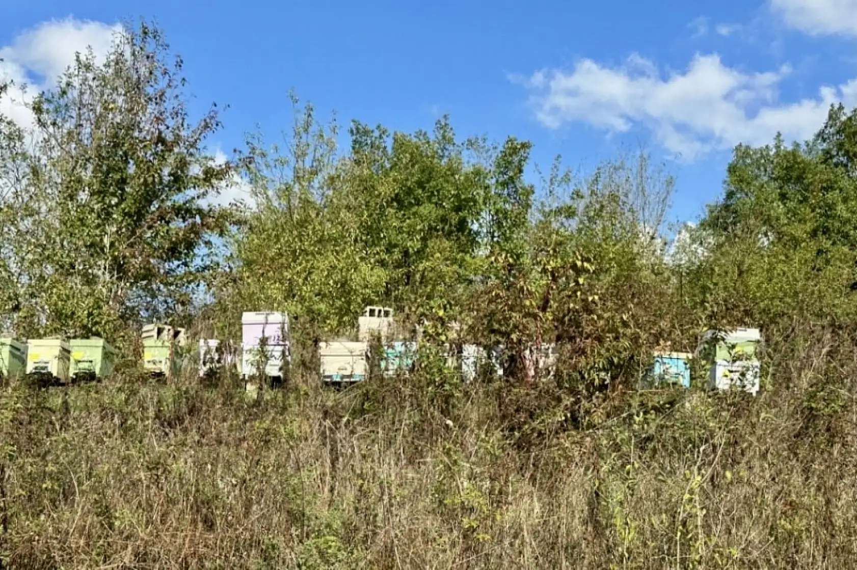 Tarımın geleceği bu ellerde