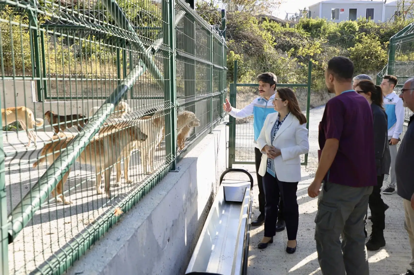 Vali Arslan çalışmaları inceledi