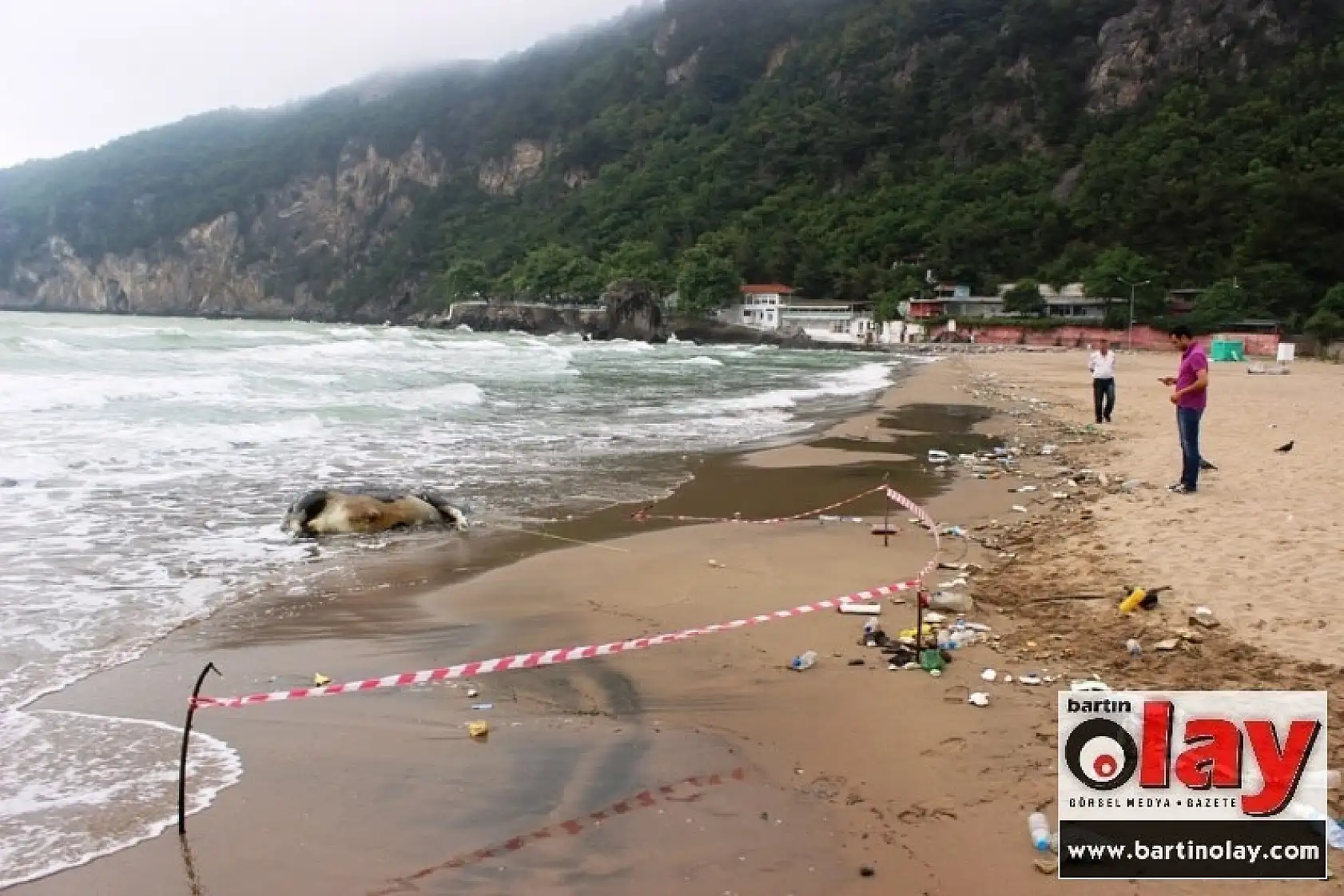 Denizden Dana Çıktı  