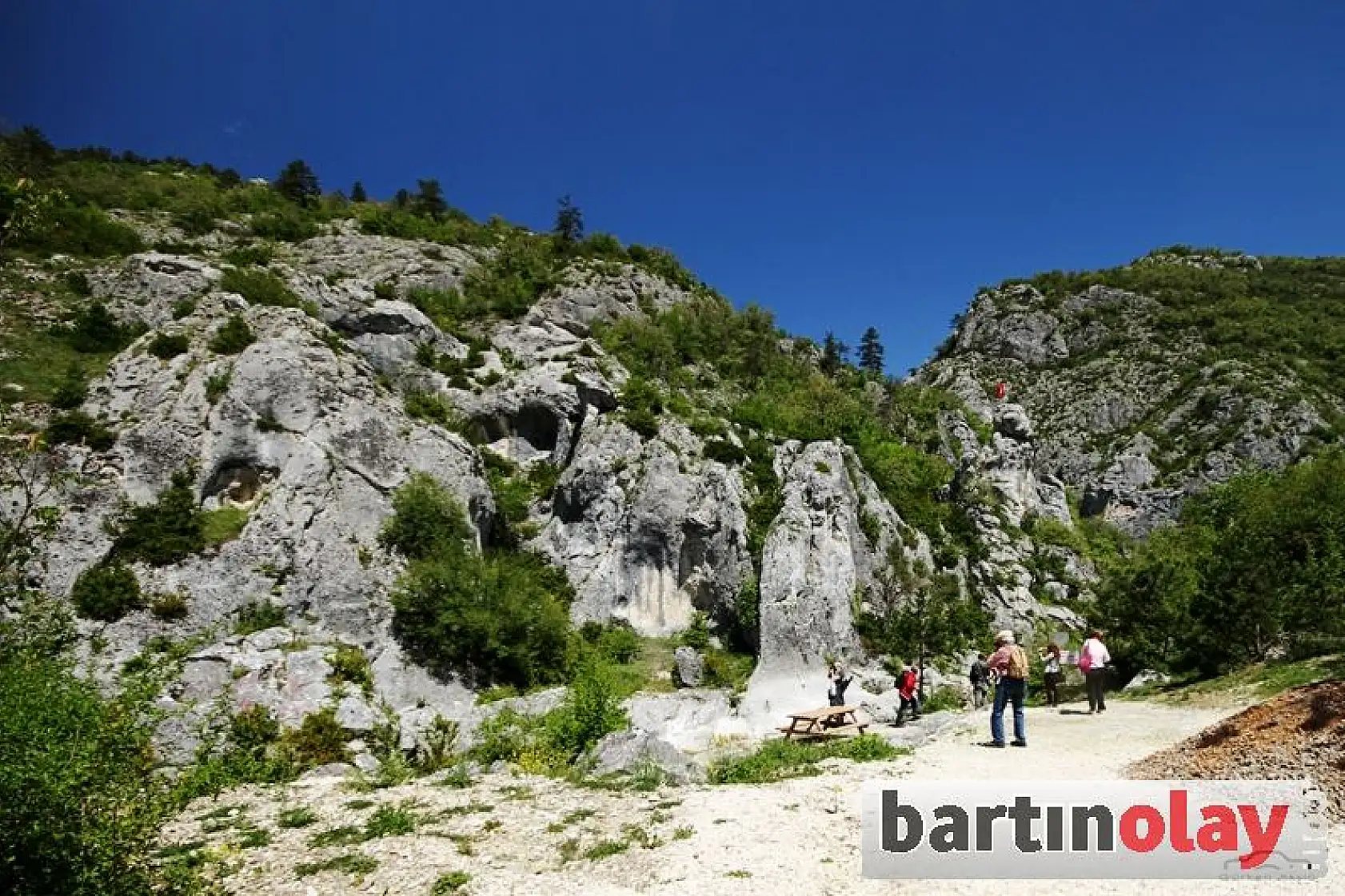 Küre Dağlarında Foto Safari