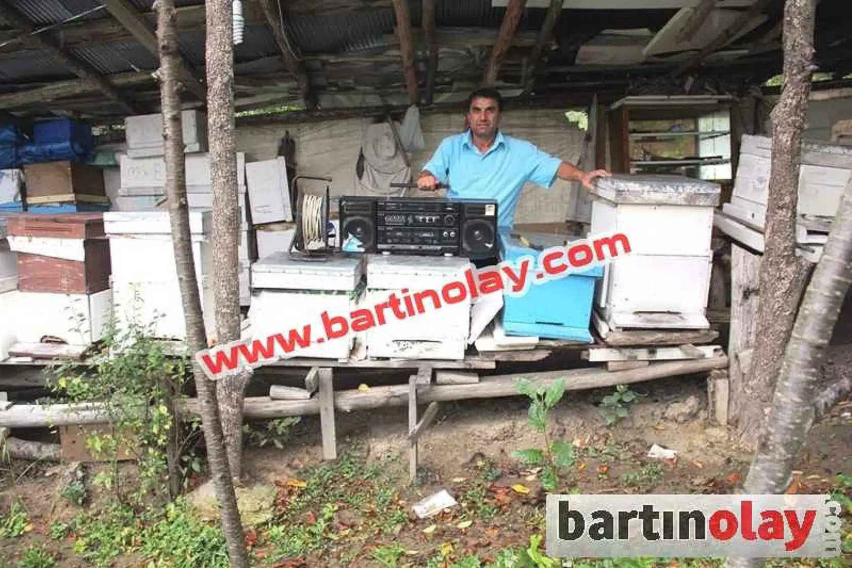 BU ARILAR OYUN HAVASI DİNLİYOR