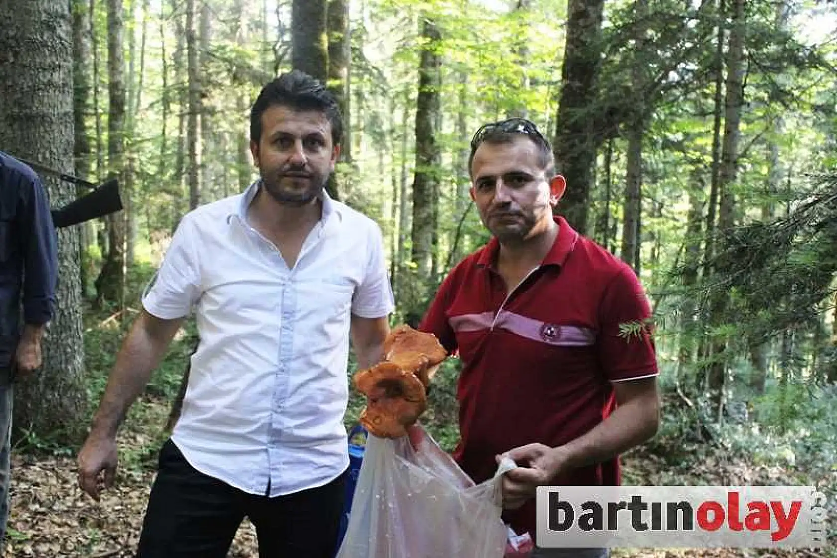BARTIN'DA MANTAR BOLLUĞU