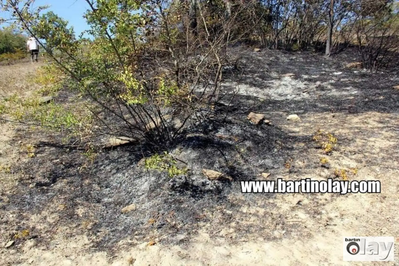Bartın'da Orman Yangınından en sıcak görüntüler