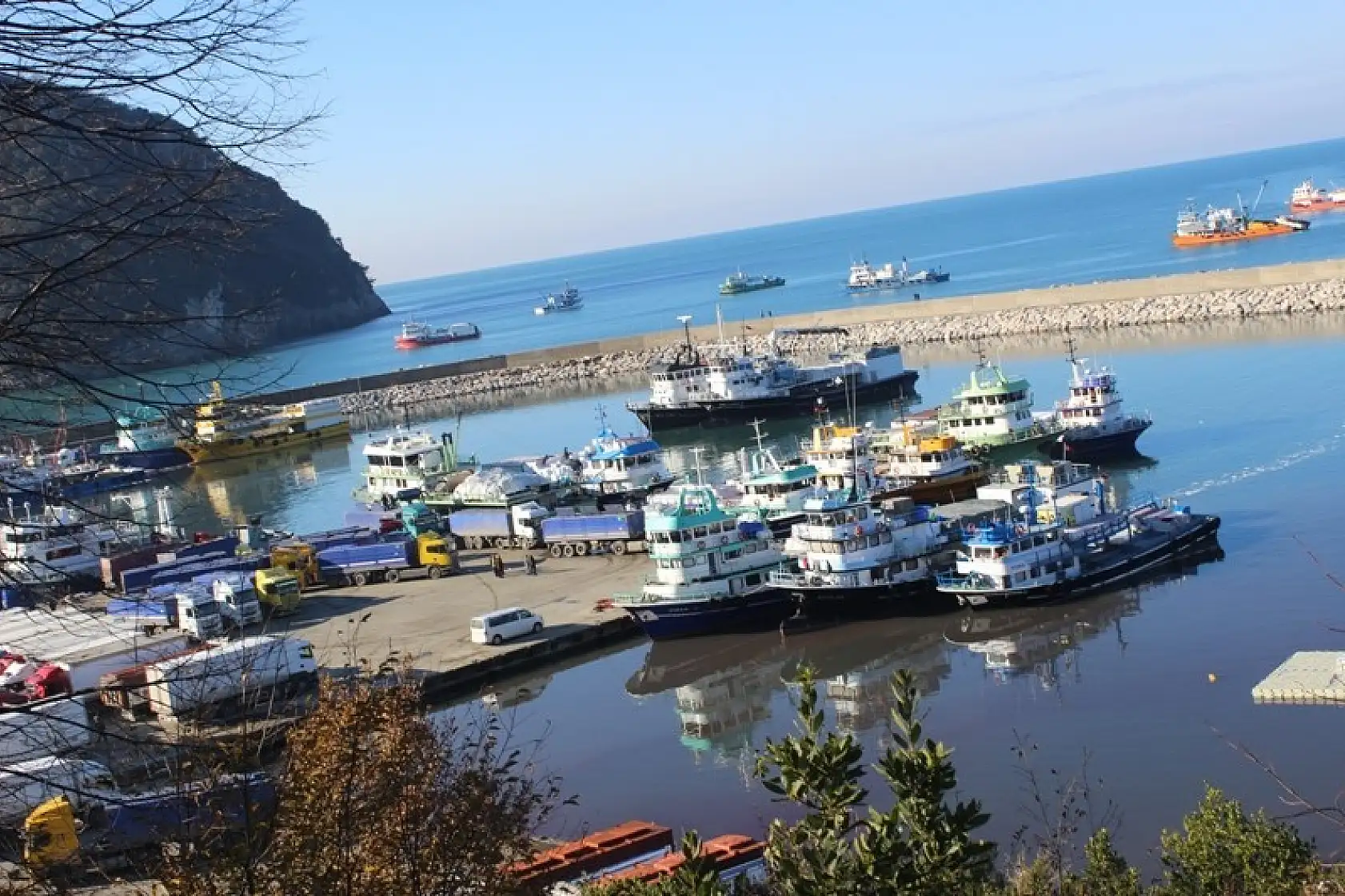 Amasrada tonlarca hamsi yakalandı