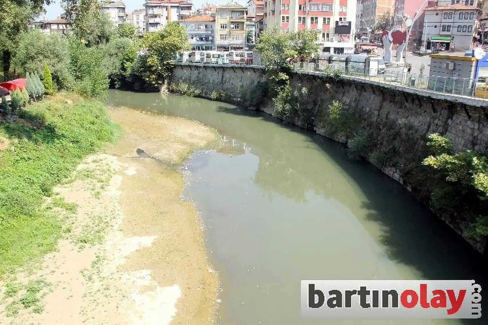 Bartın ırmağında toplu balık ölümleri