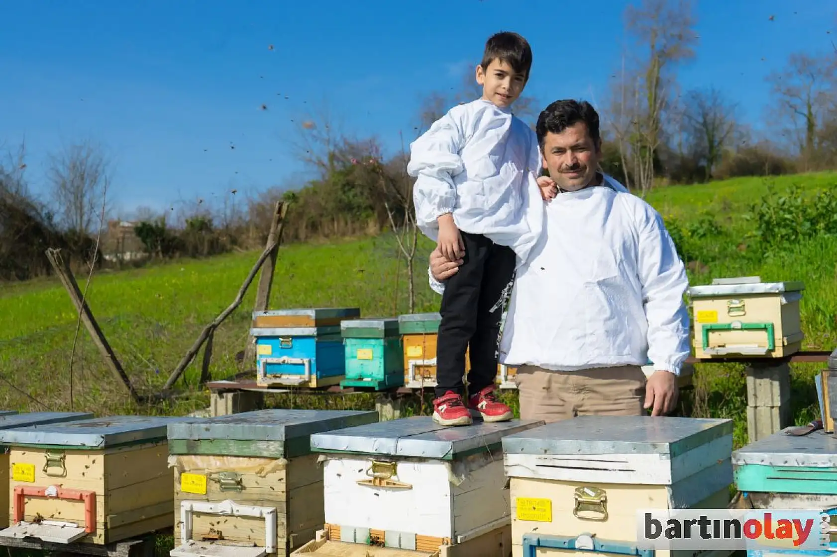 Çayır arı ve bıldırcın çiftliği