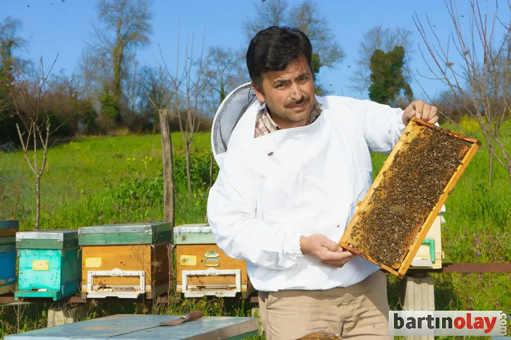 Çayır arı ve bıldırcın çiftliği