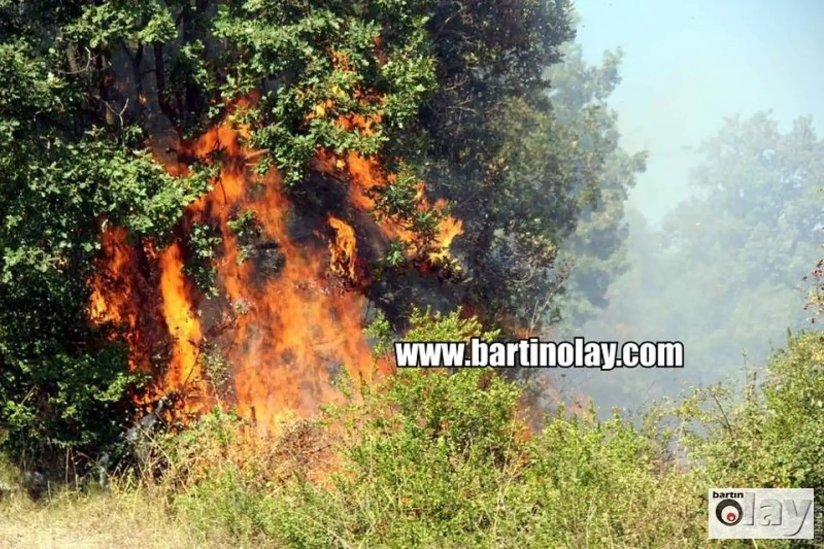 Bartın'da Orman Yangınından en sıcak görüntüler