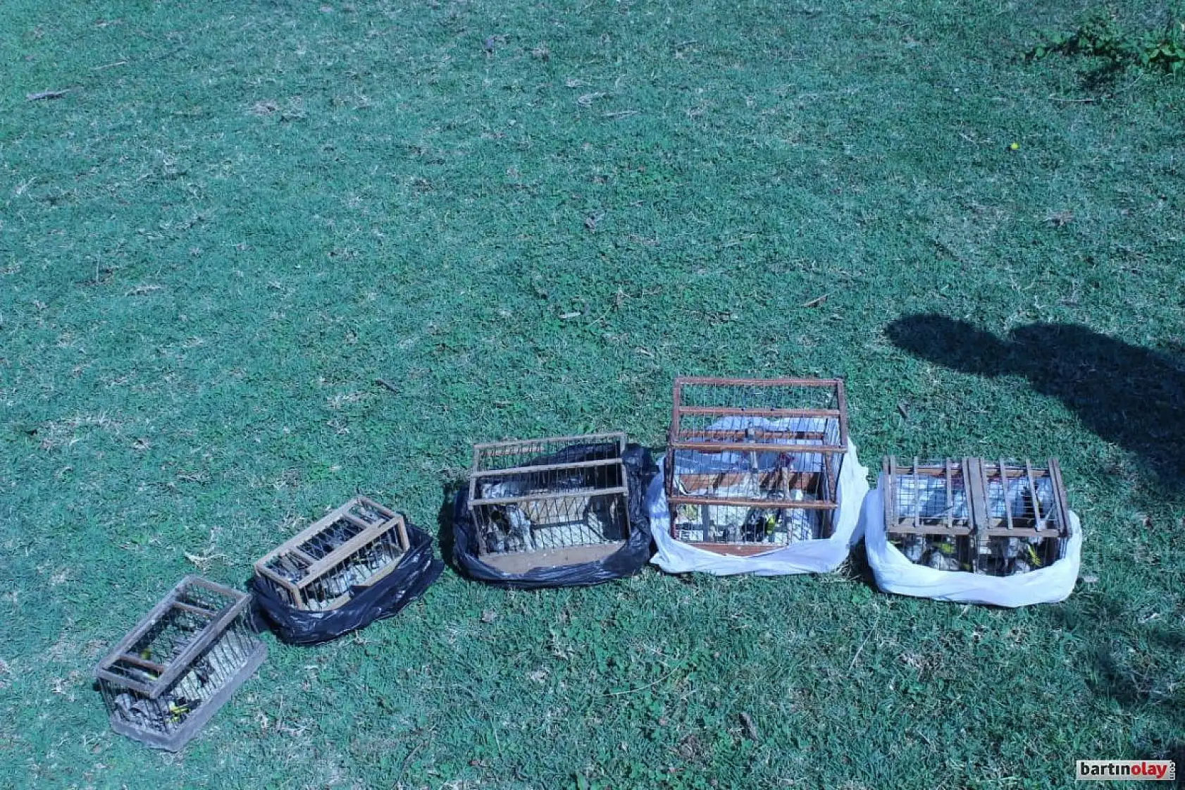 Düzenekle saka kuşu avına ceza yağdı