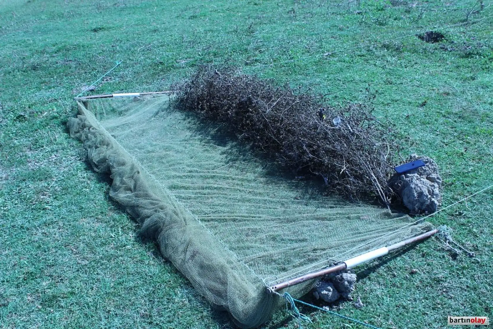 Düzenekle saka kuşu avına ceza yağdı