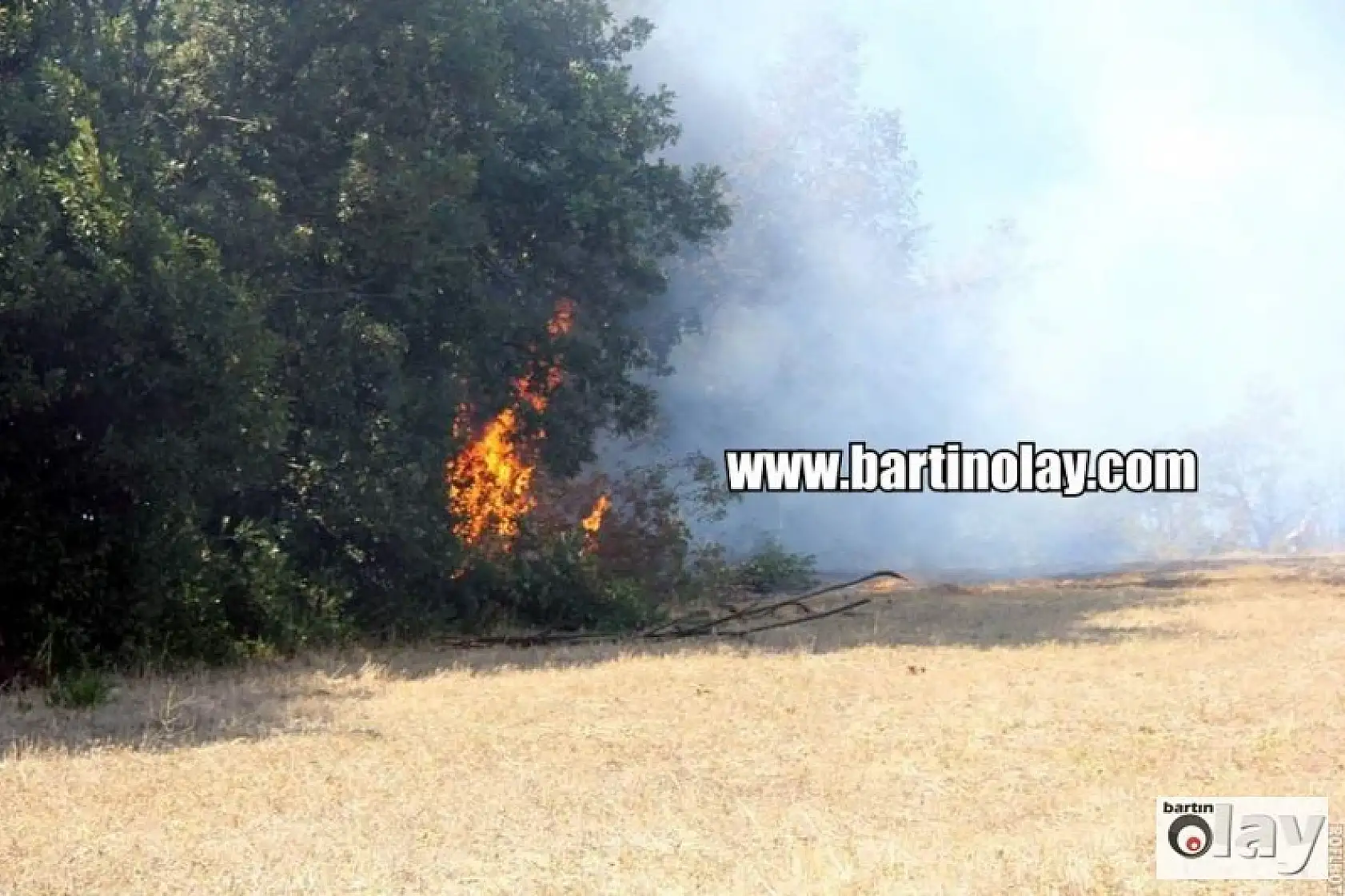 Bartın'da Orman Yangınından en sıcak görüntüler