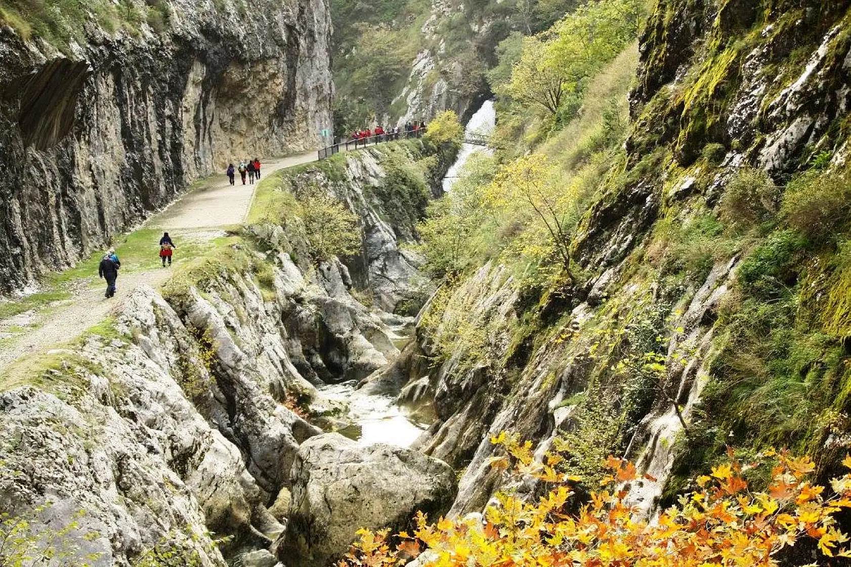 Geldiler, gördüler, hayran kaldılar