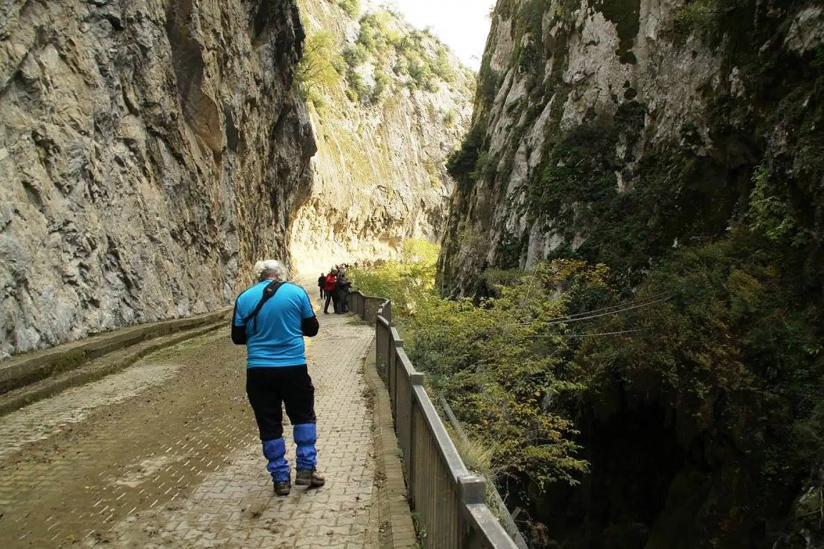 Geldiler, gördüler, hayran kaldılar