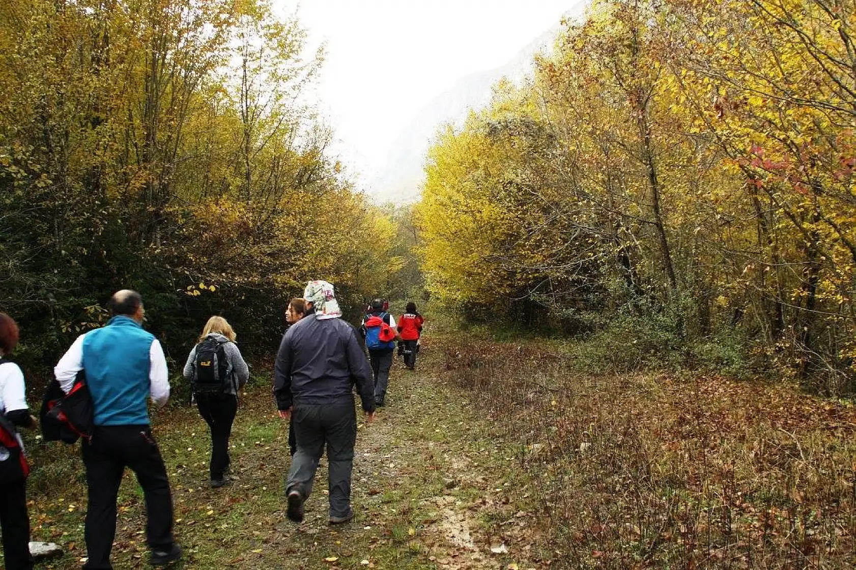 Geldiler, gördüler, hayran kaldılar