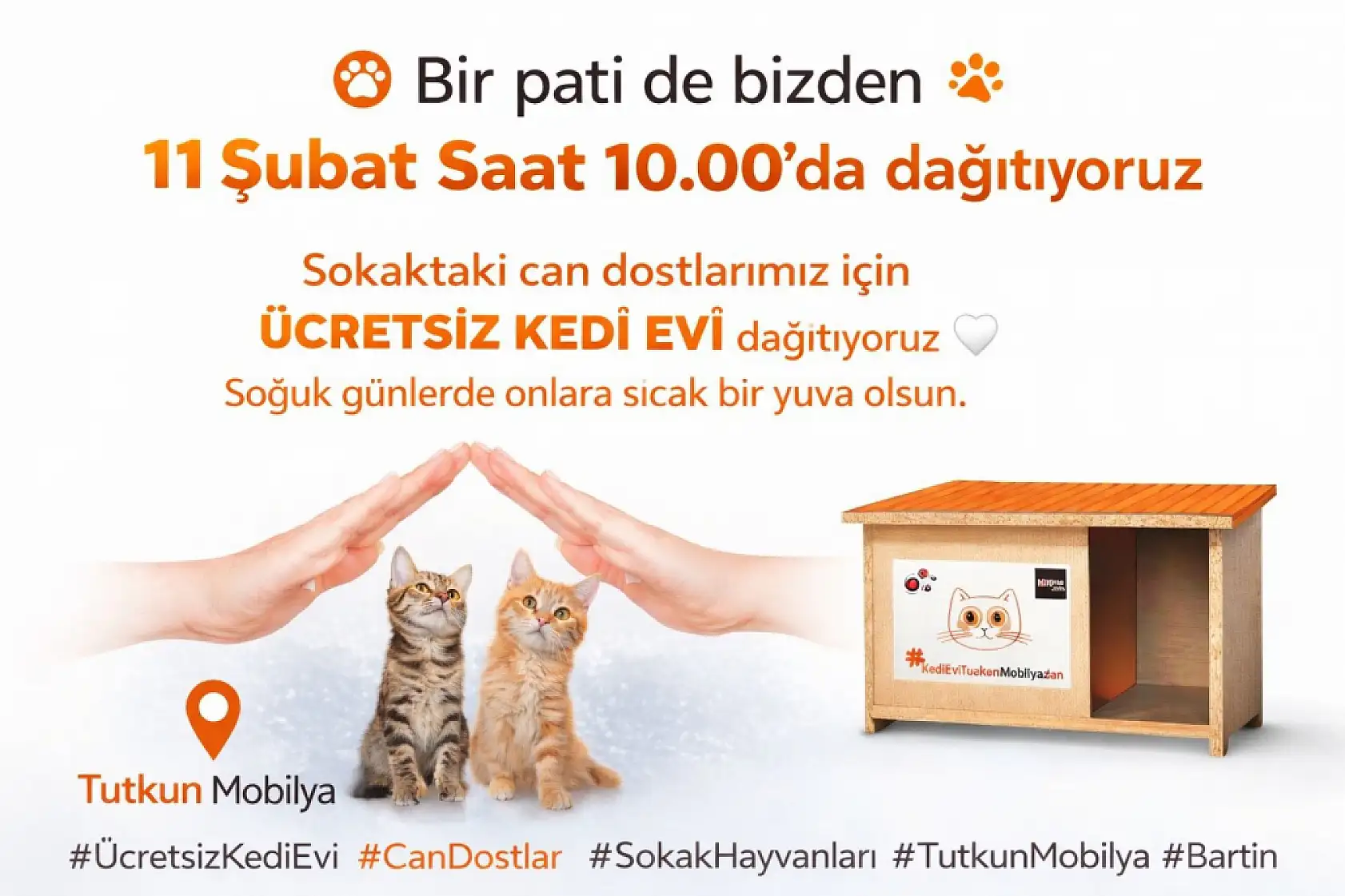 Tutkun'dan kediler için ücretsiz ev