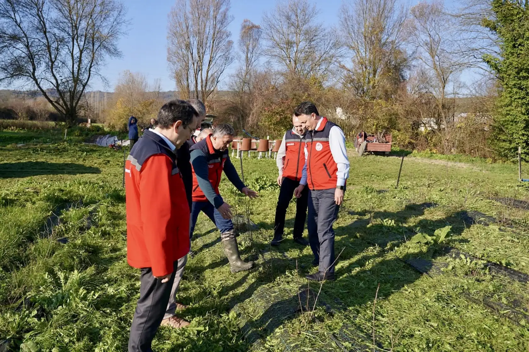 İşte doğal kanser ilacı