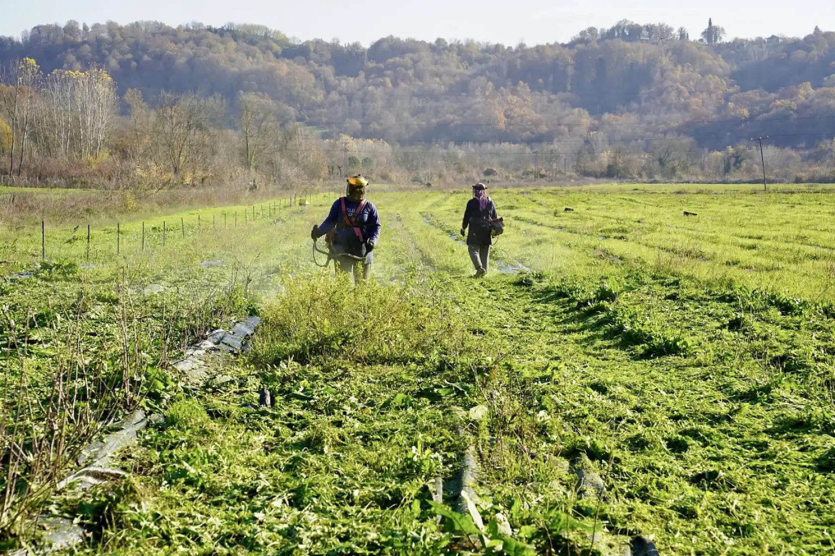 İşte doğal kanser ilacı