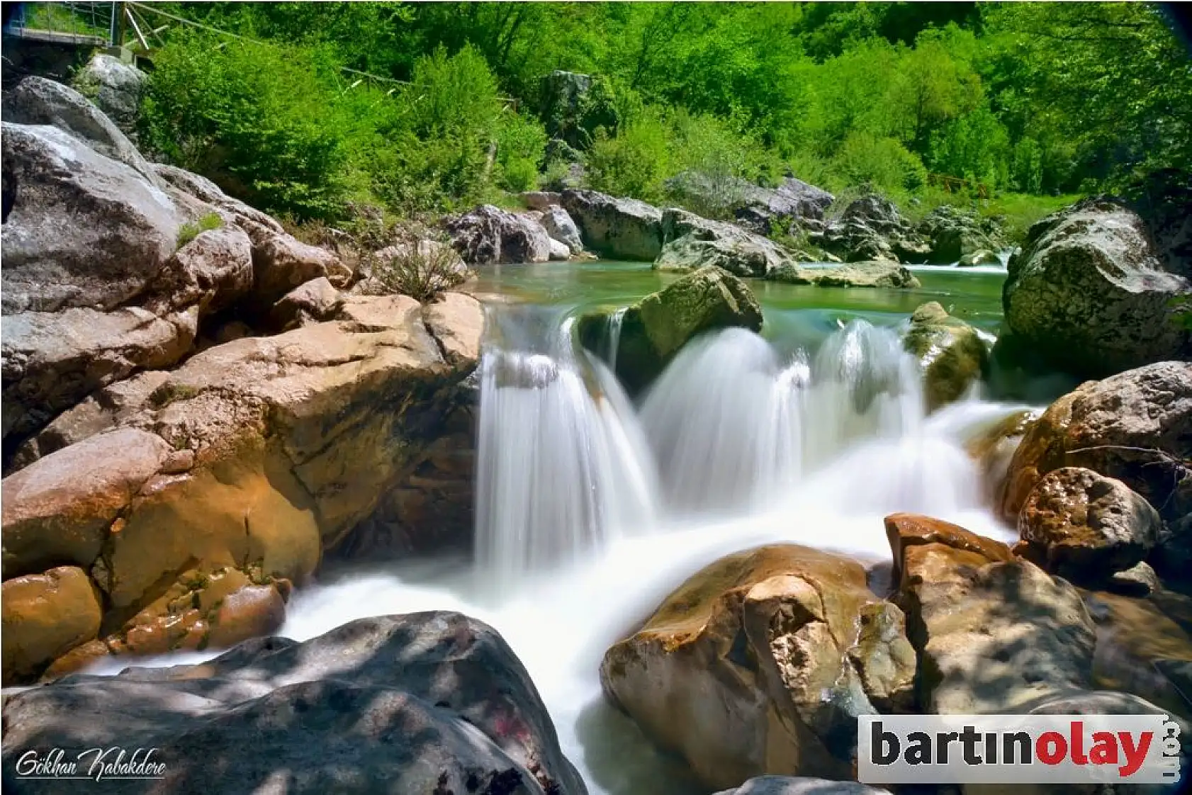 Küre Dağlarında Foto Safari