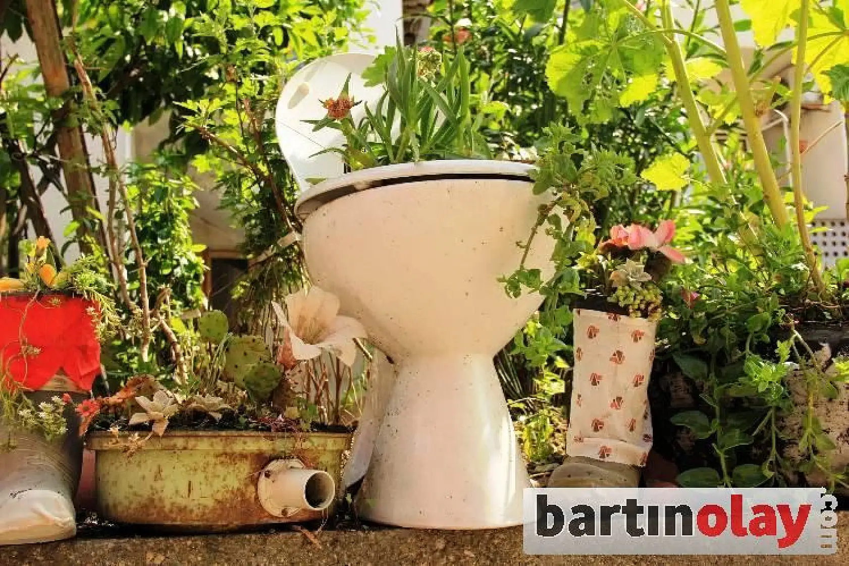 Dünyanın en ilginç bahçesi