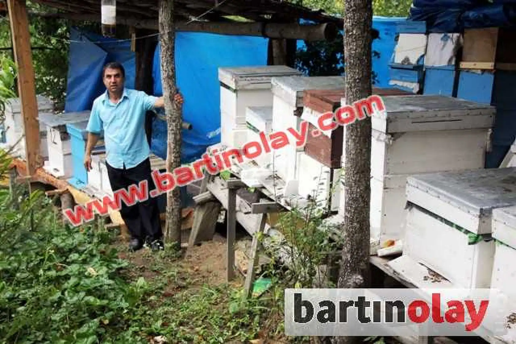 BU ARILAR OYUN HAVASI DİNLİYOR