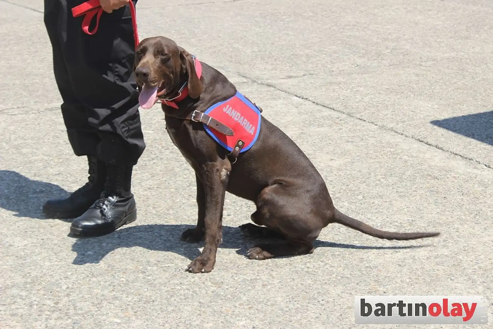 Jandarma teşkilatının 178.yılı kutlandı