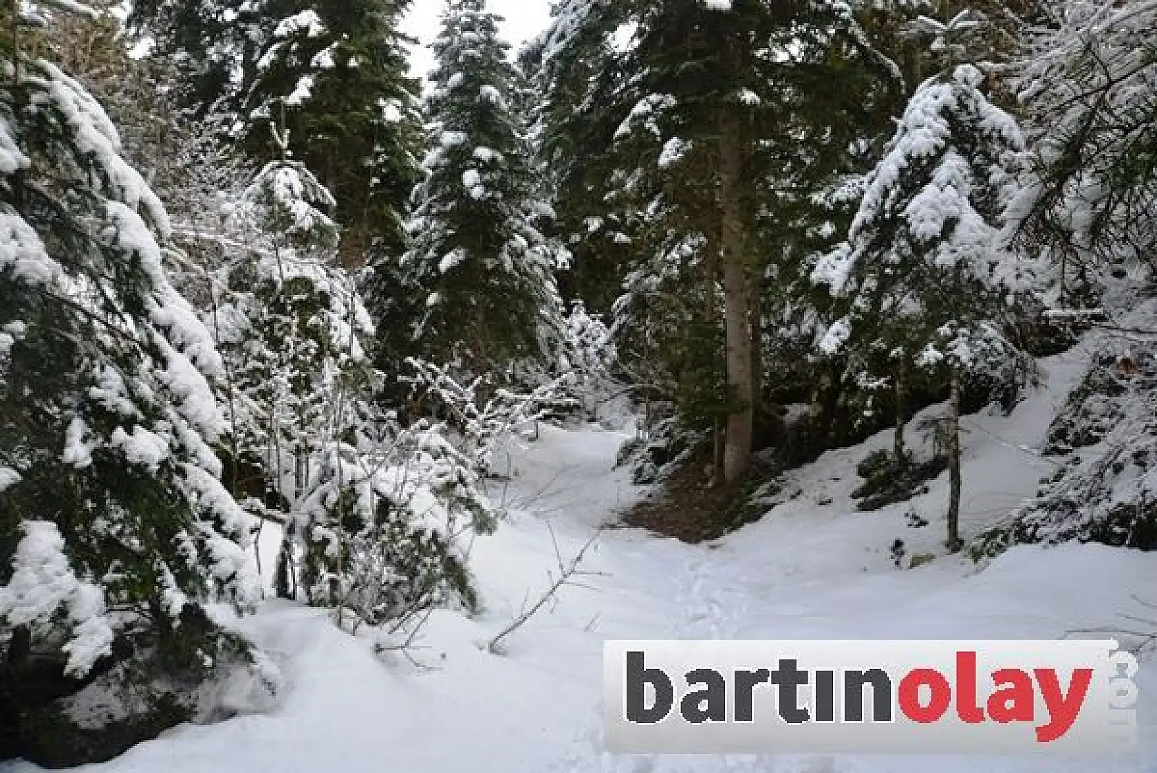 Küre Dağlarında büyüleyici kış manzaraları