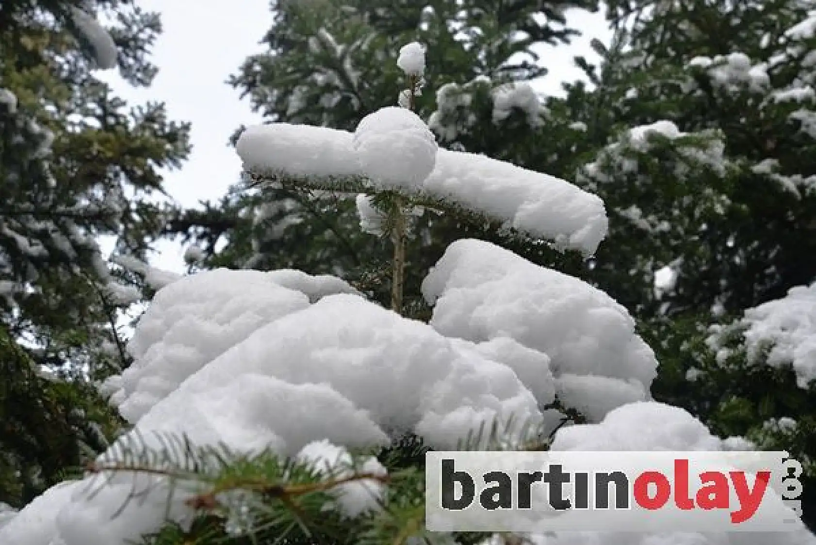 Küre Dağlarında büyüleyici kış manzaraları