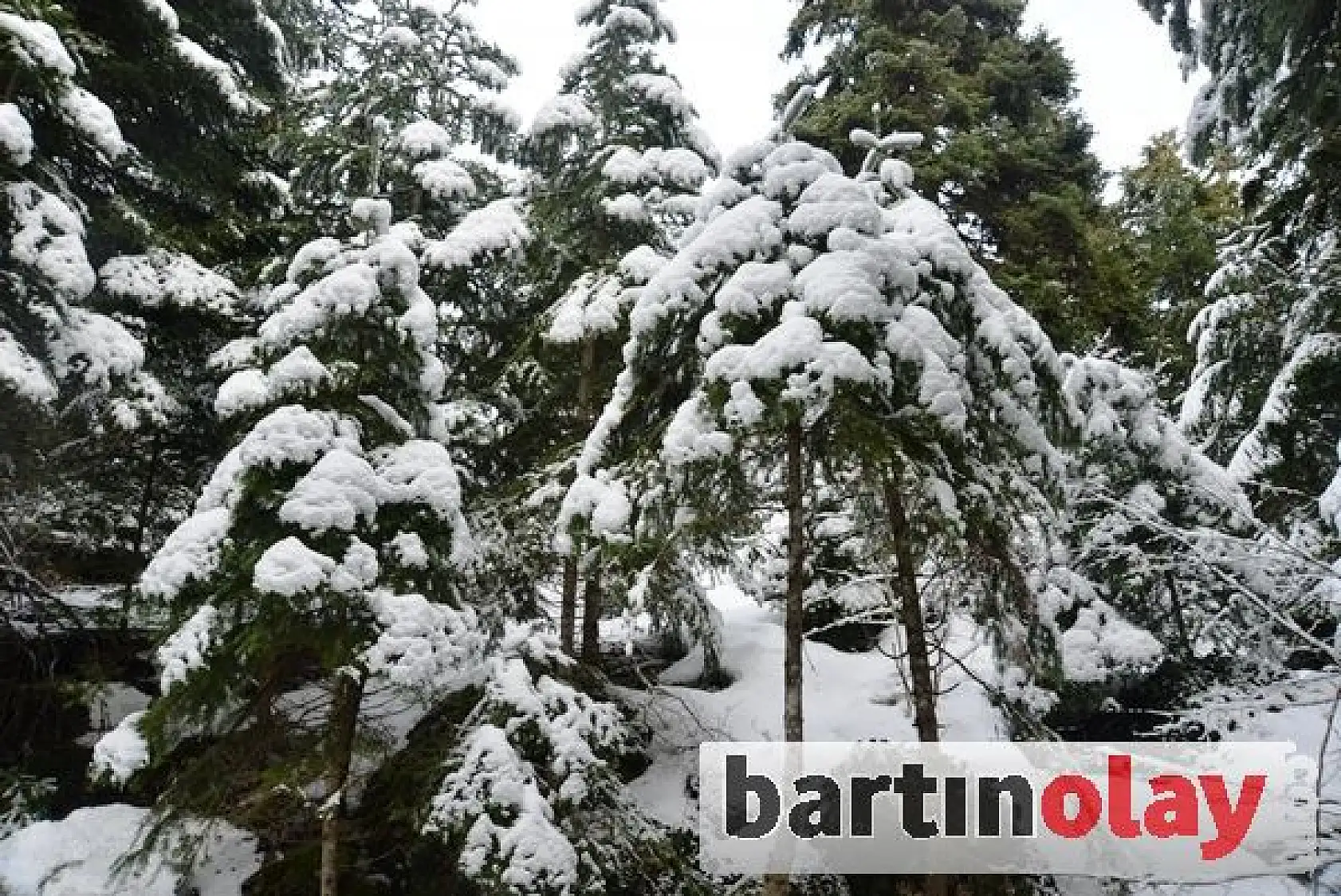 Küre Dağlarında büyüleyici kış manzaraları