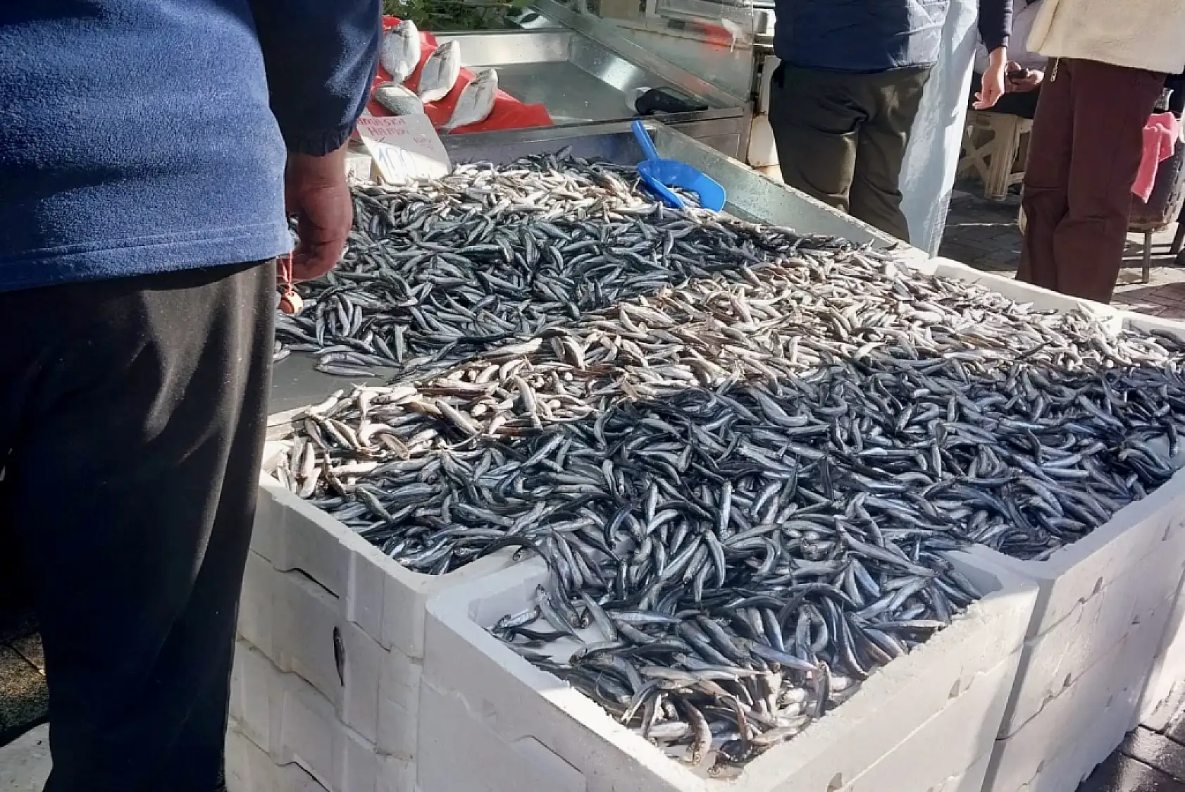 Yılın son balıkları satışta