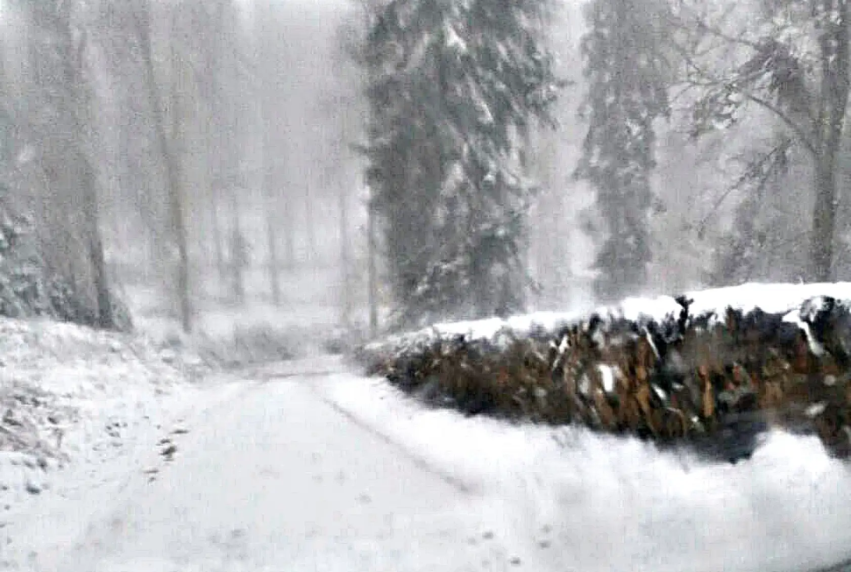 Bartın'da yaylalara ilk kar düştü