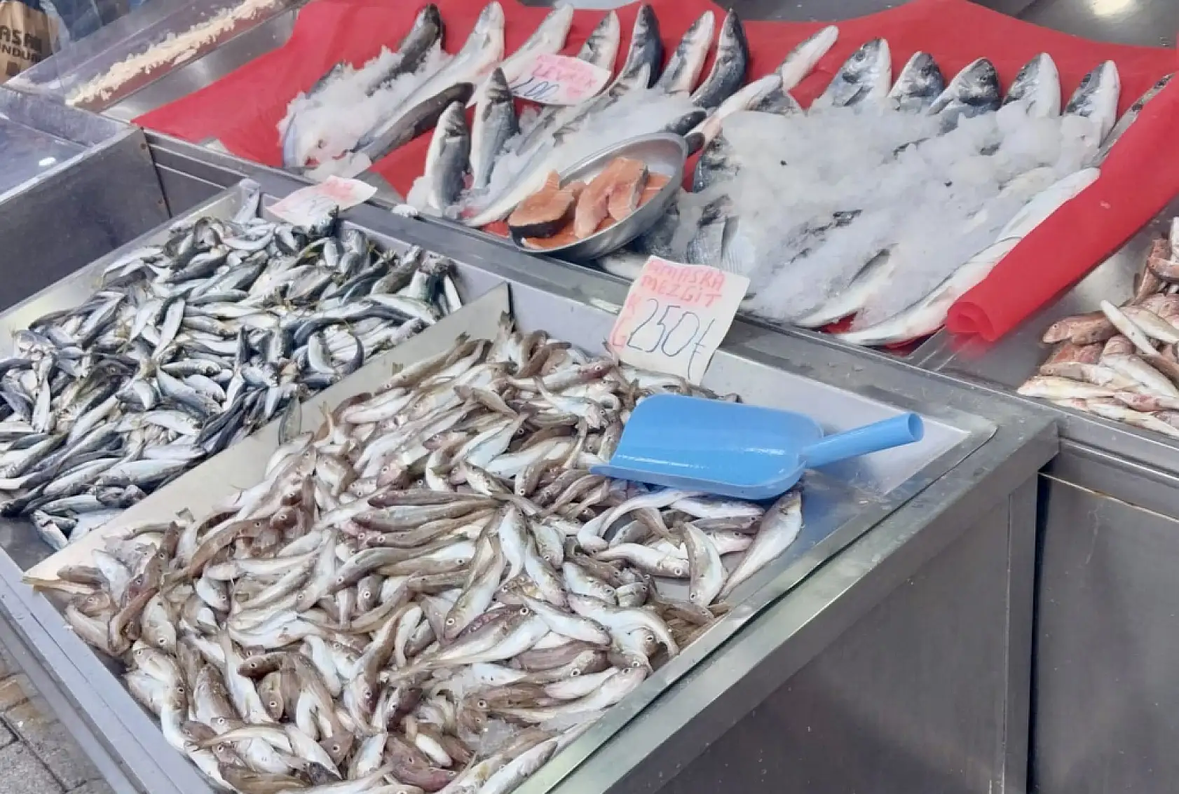 Sezonu yüz liradan açtı