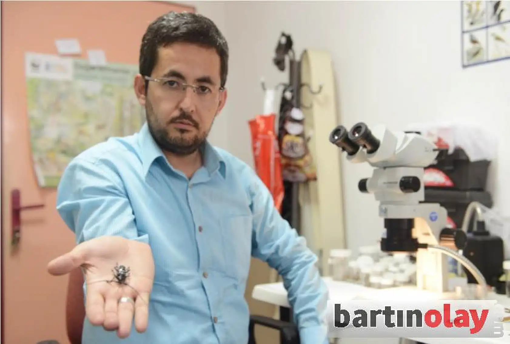 Canavar böcek Bartın'da 