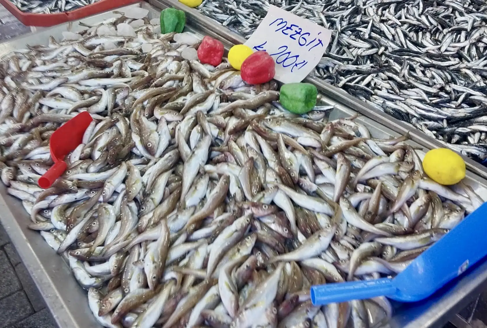 Balık bollaşıyor, fiyatı düşüyor