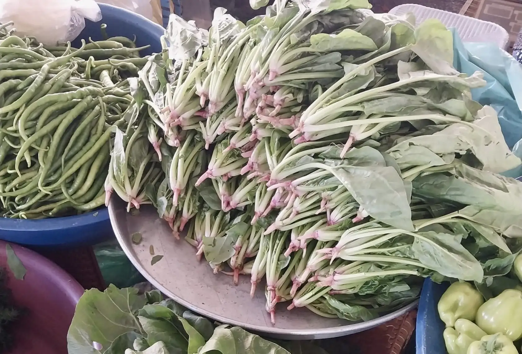 Hünnap sezonu açıldı