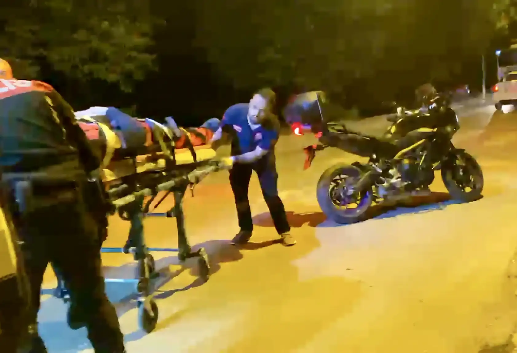 Polis ekiplerine köpek saldırdı