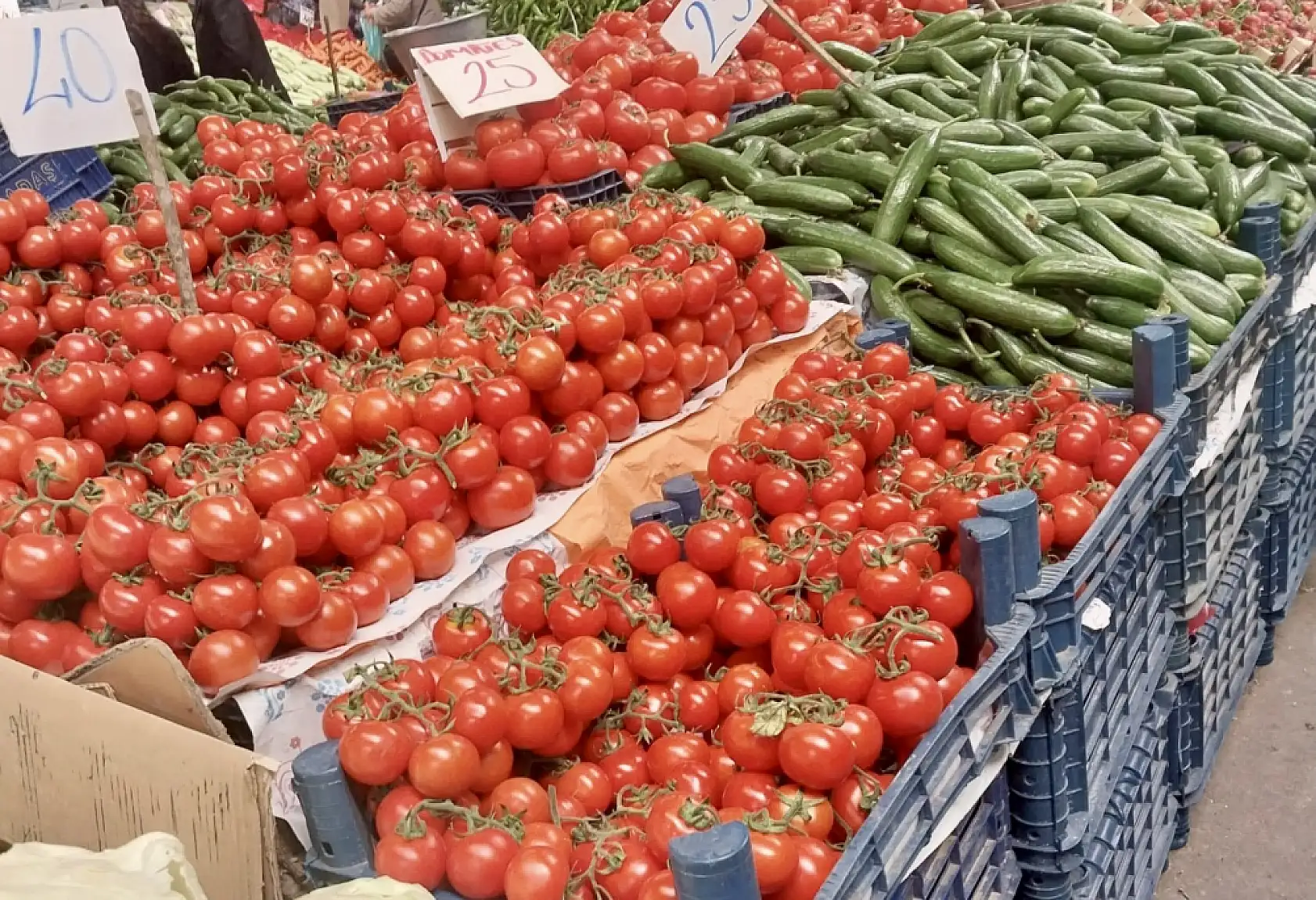 Balıklar oltaya geldi