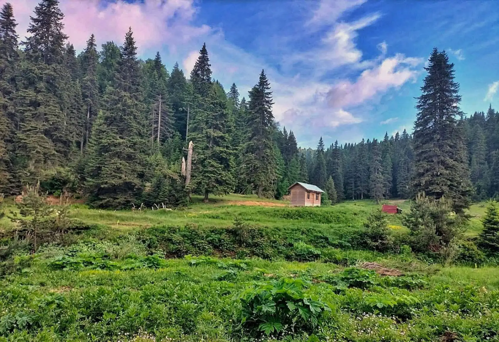 Valilik Yeni Yasakları duyurdu